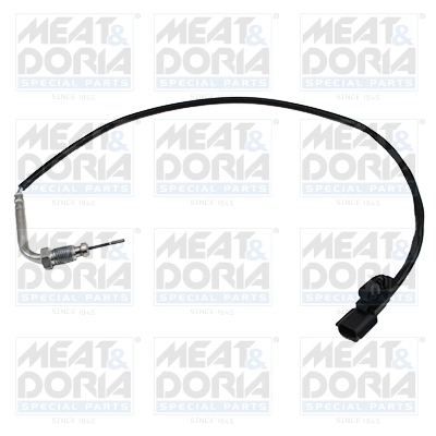 Sensor, exhaust gas temperature